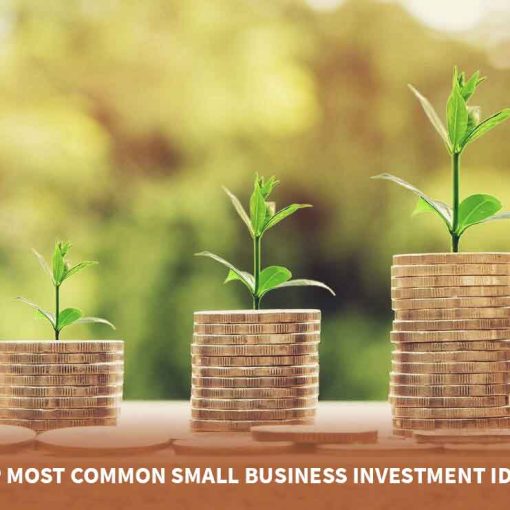 Vivalamoses: Investments for Small Businesses