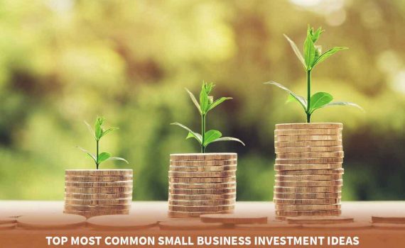 Vivalamoses: Investments for Small Businesses